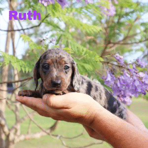 Ruth💕